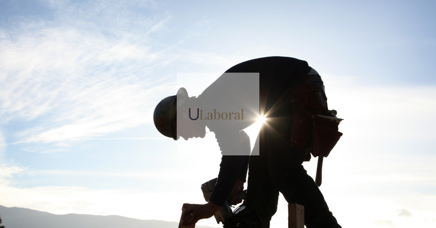 abogados necesidades de la empresa